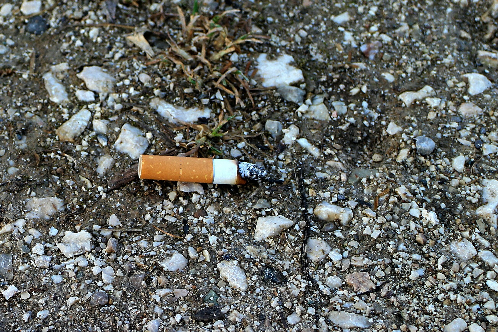 Fumer Tue… Et met en danger la nature!